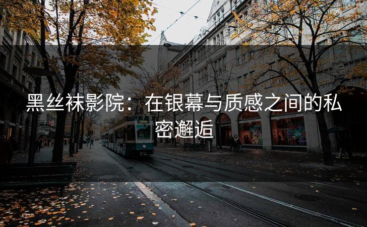 黑丝袜影院：在银幕与质感之间的私密邂逅