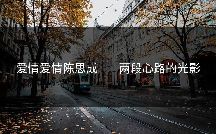 爱情爱情陈思成——两段心路的光影